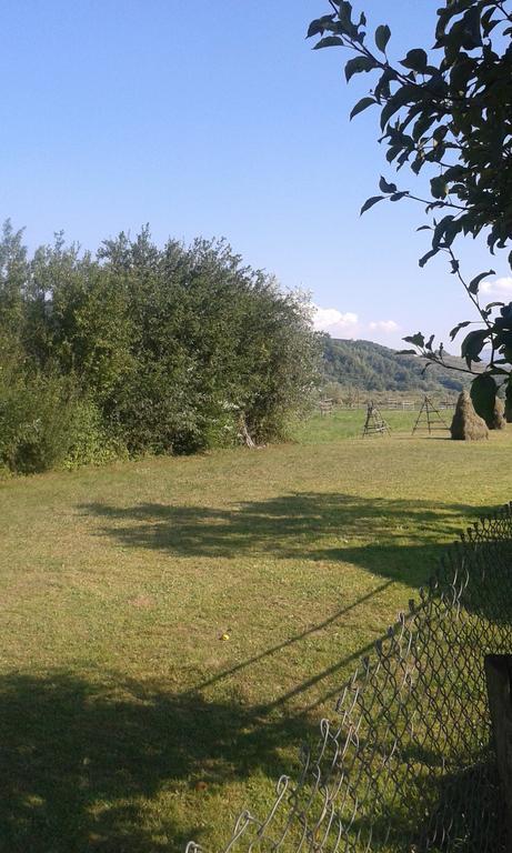 Pensiunea Popan Şieu エクステリア 写真